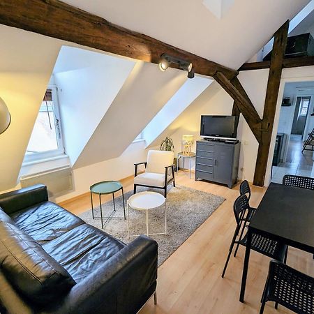 Appartement Des Serruriers Strasbourg Luaran gambar