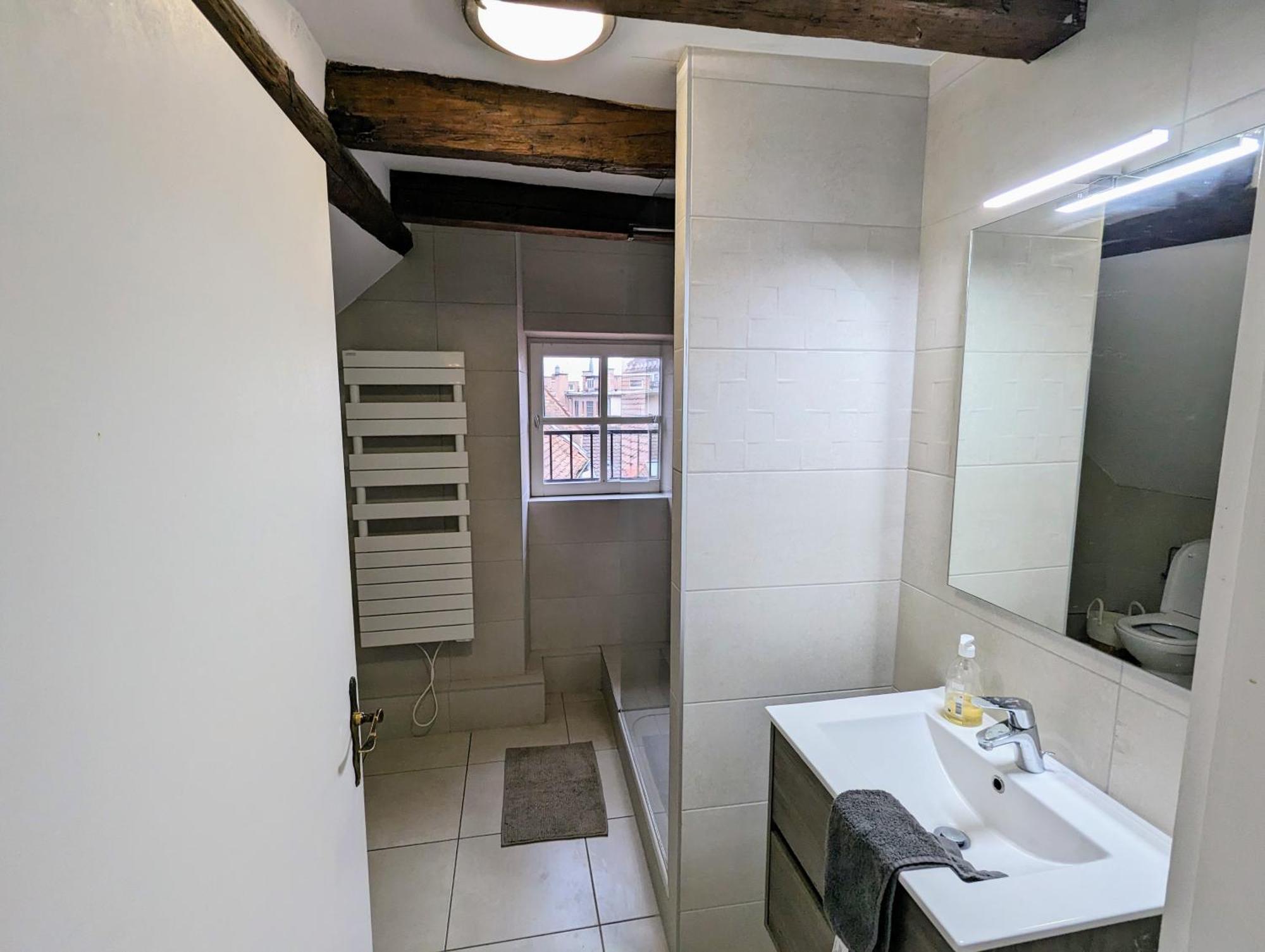 Appartement Des Serruriers Strasbourg Luaran gambar