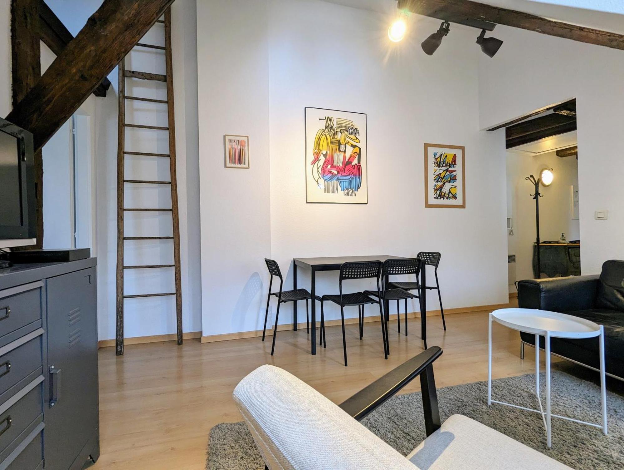 Appartement Des Serruriers Strasbourg Luaran gambar
