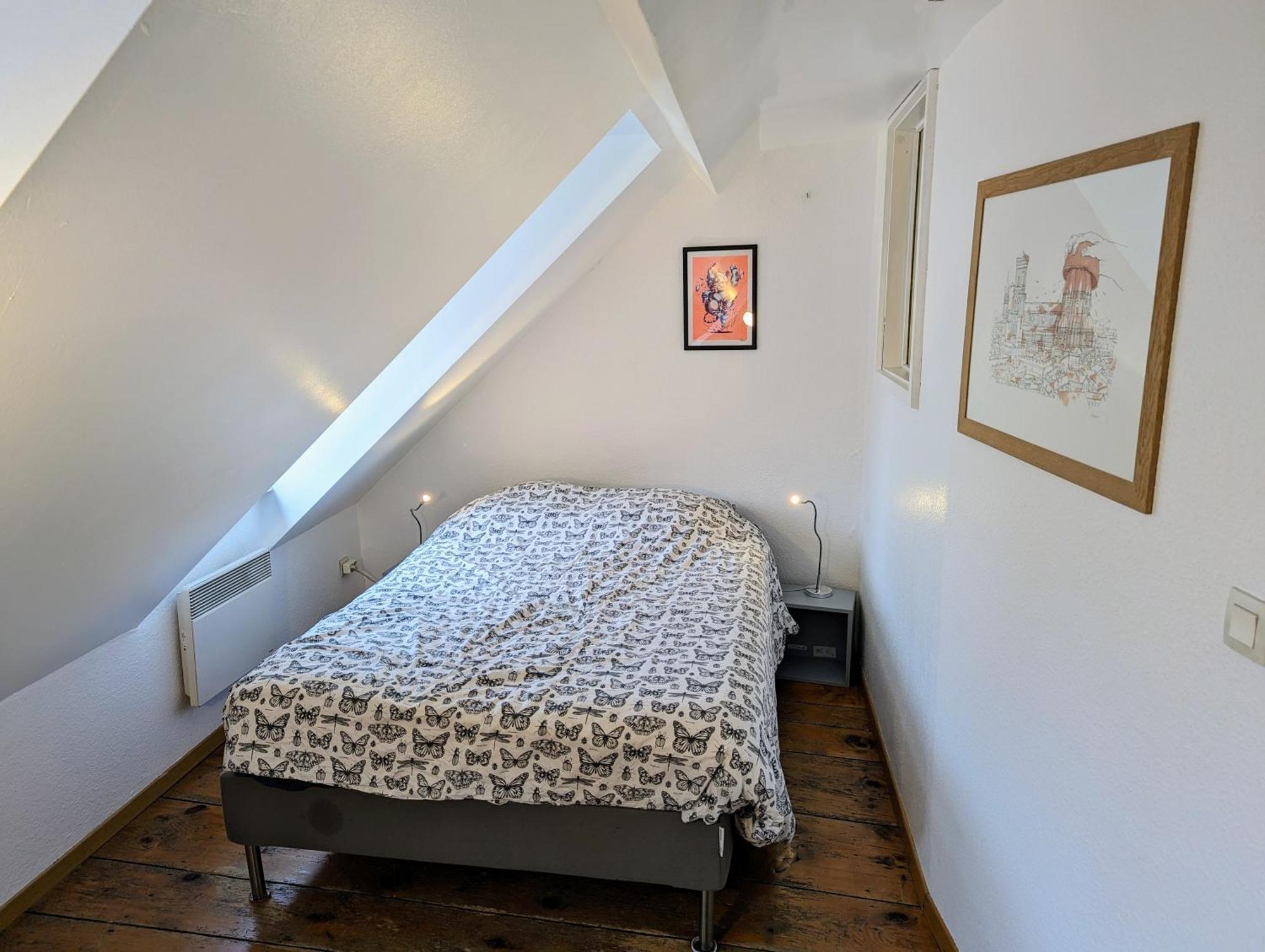 Appartement Des Serruriers Strasbourg Luaran gambar