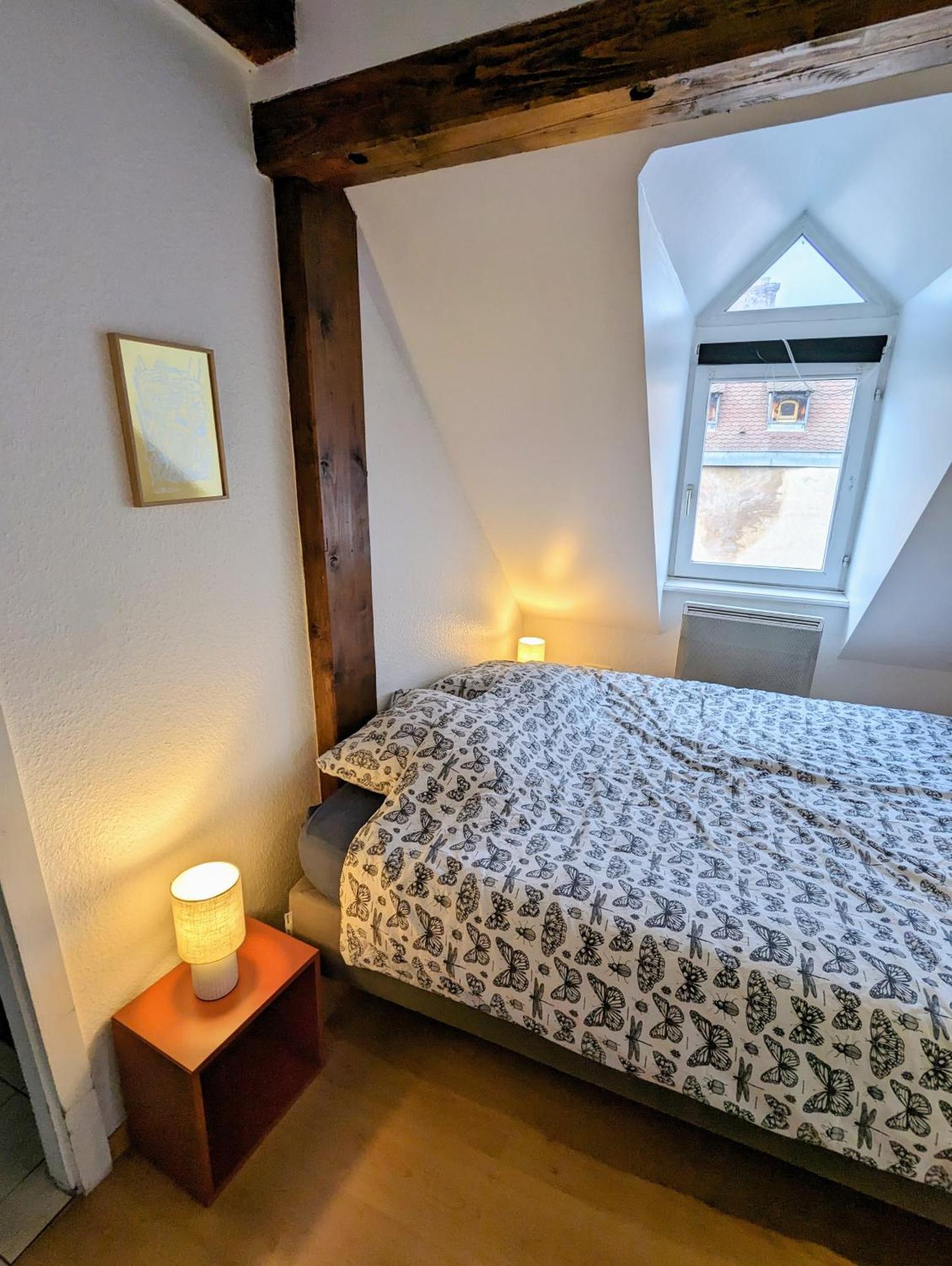 Appartement Des Serruriers Strasbourg Luaran gambar