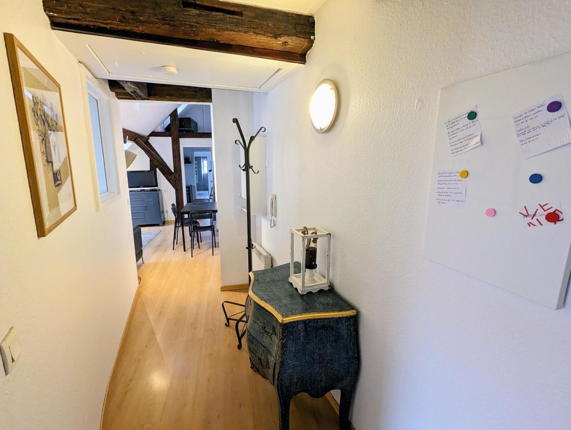 Appartement Des Serruriers Strasbourg Luaran gambar