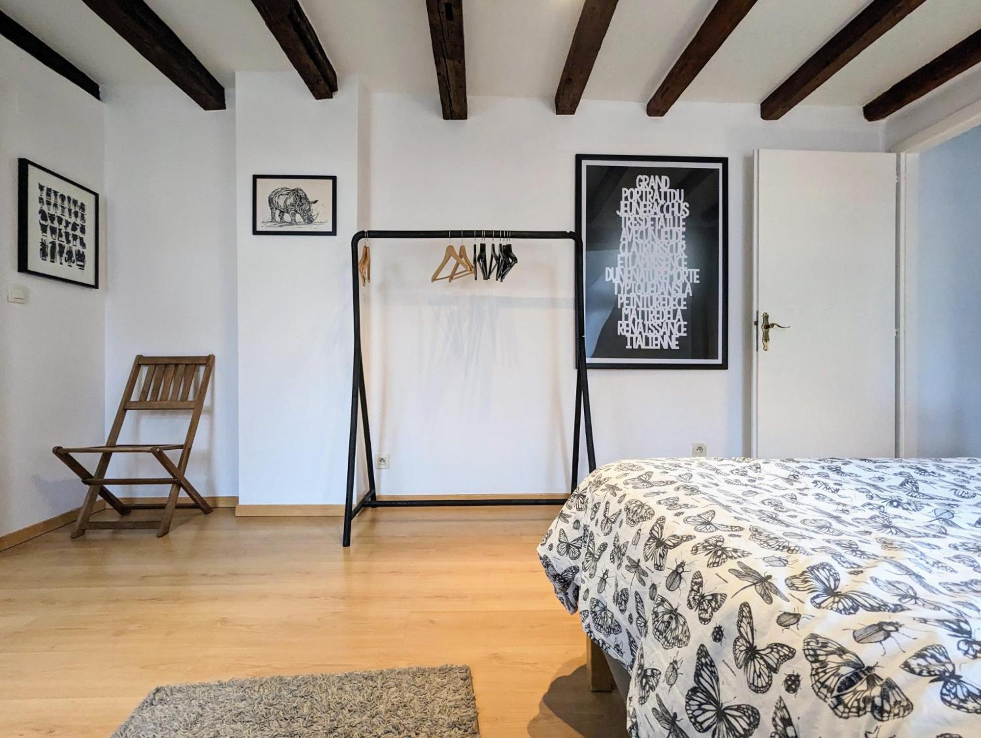 Appartement Des Serruriers Strasbourg Luaran gambar