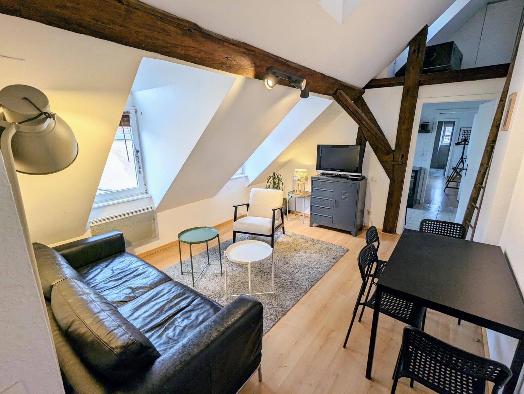 Appartement Des Serruriers Strasbourg Luaran gambar